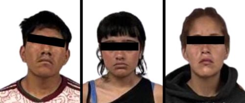 Aseguran Narcóticos y Diversas Especies de Animales en Predio de Ixtapaluca