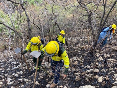 Trabajo Coordinado Permite Sofocar Incendio Forestal en Cohetzala