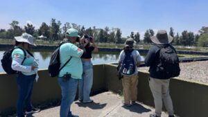 Reto Naturalista Urbano 2026: CDMX Rompe Récords y se Afianza Como Líder Nacional de Biodiversidad