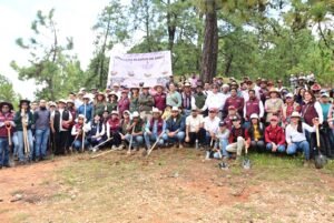 Refuerzan Restauración Hidrológico-Forestal en San Simón de Guerrero