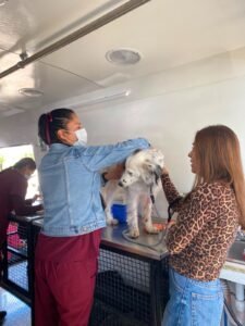 Impulsa Cepanaf el Bienestar Animal con Jornadas Gratuitas