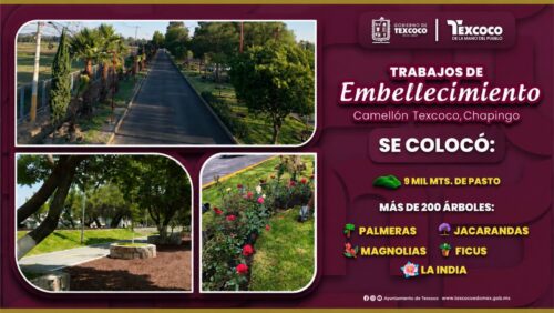 Bulevar Chapingo Está por Estrenar Nueva Imagen en Texcoco