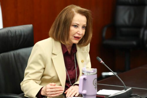 Senado Plantea Disminuir Dependencia del gas Importado Hasta 50%