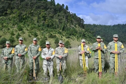 Huitzilac Recibe Jornada Nacional de Reforestación 2026