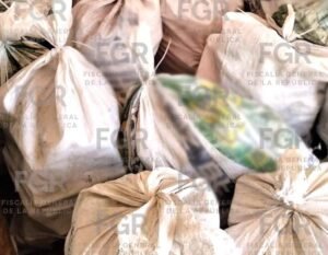 Aseguran más de 650 Kilos de Cocaína y 2 mil 548 Litros de Hidrocarburo